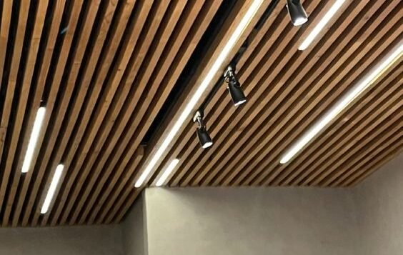 wpc ceiling